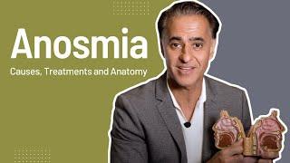 Anosmia and Loss of Smell Causes Treatments and Nose Anatomy