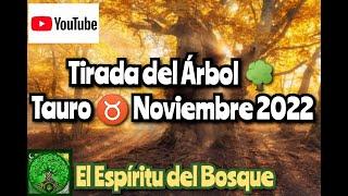 Tirada del árbol TAURO NOVIEMBRE 2022