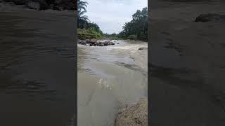 Aliran Sungai #nature #sungai #river #shorts