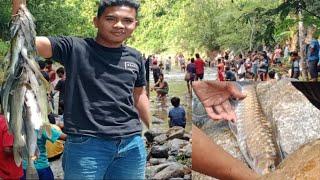 Petualangan menangkap ikan di Lubuk larangan muara sibadak rao makan dan bakar ikan di tempat 2020