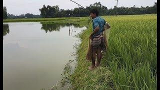 Best Net Fishing  Fish Hunting in village  Traditional Net fishing  Fishing by cast net