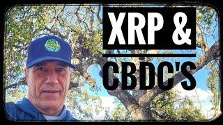 XRP CBDC