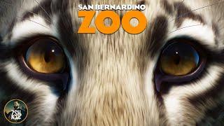 Building an Aviary for Cats in Franchise Mode  San Bernardino Zoo  Planet Zoo