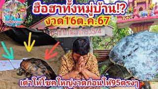 ฮือฮาทั้งหมู่บ้าน เต่าให้โชคชาวบ้านงวดก่อนให้95ที่หลังเต่าตรงๆ งวด16ต.ค.67ให้ตัวไหนรอลุ้น  รัชนี