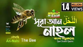 16 সূরা নাহল - Surah An-Nahl bee  سورة النحل অনুবাদ  Qari Shakir Qasmi  mahfuz art of nature