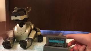 How to Jump Start an Aibo ERS-210 Battery