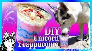 DIY UNICORN FRAPPUCCINO FOR DOGS   DIY Dog Treats  Snow Dogs Snacks 72