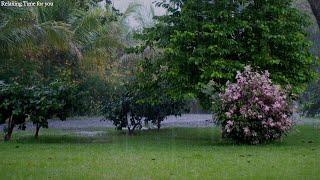 Fall Asleep to Refreshing Rain Sound Falling in a Beautiful Garden.  Rain Sound ASMR for Deep Sleep