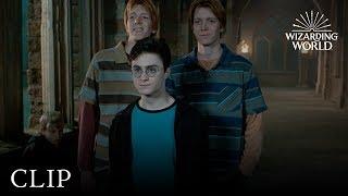 Fred and George Hatch a Plan  Harry Potter and the Order of the Phoenix