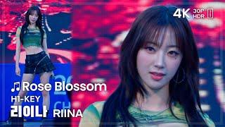 240525 하이키 리이나 H1-KEY RIINA 건물 사이에 피어난 장미 Rose Blossom 직캠 FANCAM @천안 4K30P HDR