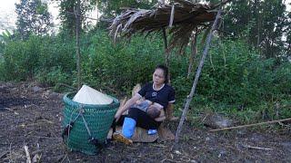 Single mother   Journey to master her land a happy endeavor