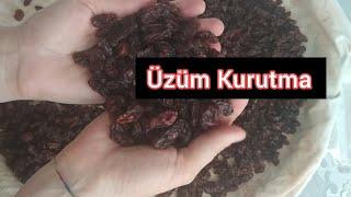 Üzüm Kurutma Bandırma Nasıl Yapılır  Evde İlaçsız Doğal Yöntemlerle Bozulmayan Kolay Kurutma Yaptım