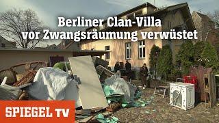 Zwangsräumung bei den Rammos Clan-Familie verwüstet Berliner Villa  SPIEGEL TV