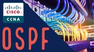 OSPF Network Types  Broadcast and Point To Point Networks