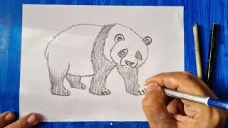 How to draw Panda drawing