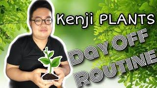 KenjiPLANTS  Episode #1  My Little Garden in Japan