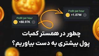 چطور در همستر کمبات profit بیشتری به دست بیاوریم؟