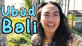 jalan-jalan lihat sawah di Ubud Bali #vlogsingkat