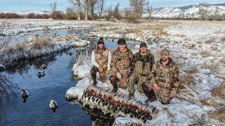 GREENHEADS ONLY 4 Guns 28 Mallards in the HOT TUB Tiny Warm Water Creek to Duck Burritos