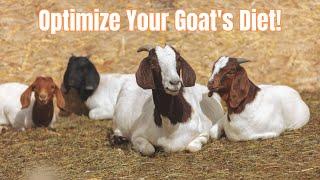 Ultimate Guide To Perfecting Your Boer Goats Nutrition