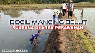 MANCING BELUT DI AREA PESAWAHAN @SagalaChannel