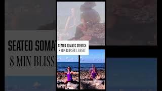 Seated Somatic Yoga Stretch  UPPER BODY  + NERVOUS SYSTEM 8 Minutes