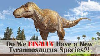 Do We FINALLY Have a New Tyrannosaurus Species?