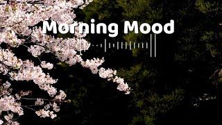 作業用BGM  Chill Music Playlist  朝の雰囲気を良くするメロディー  Morning Mood