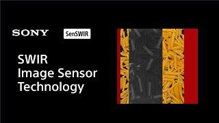 SWIR Image Sensor Technology