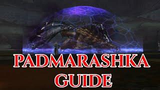 Padmarashka in-depth guide