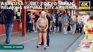 4k hdr japan travel  Walk in Asakusa（浅草）Tokyo japan   Relaxing Natural City ambience