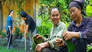 create molds plant flowers. Mom and uncle harvest pumpkins. Confession of love from uncle to mother