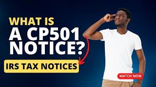 Internal Revenue Service IRS CP501 Notice