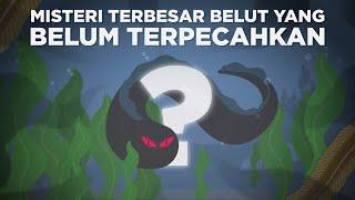 Misteri Terbesar Belut yang Belum Terpecahkan