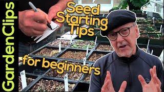 Easy Seed Starting for Beginners - Tips and Techniques how to start vegetable & flower seeds indoors