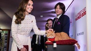 Duchess of Cambridge meets street cat named Bob  5 News