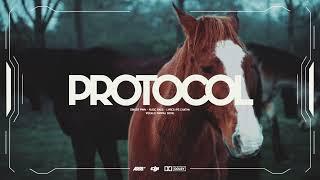 Pwn - Protocol Official Audio Latest Punjabi Songs