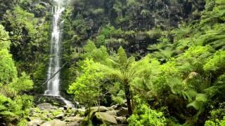  Jungle Ambient Sounds with Flowing and Falling Water Combined with the Sound of Australian Birds.