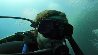 Incredible dive at Leon Dormido in San Cristobal Galapagos