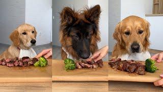 Watch Three Dogs Review a Delicious Steak