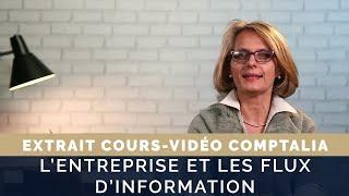 Lentreprise et les flux dinformation - Cours vidéo COMPTALIA