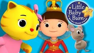 Little Cat Song  Nursery Rhymes for Babies by LittleBabyBum - ABCs and 123s