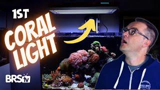 Which Light Is BEST for the Coral in Your Reef Tank?