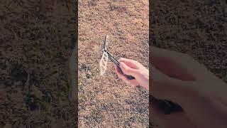 balisong flipping outside  #balisong #balisongflipping