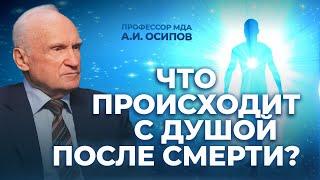 Что происходит с душой после смерти?  А.И. Осипов