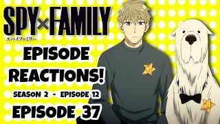 SPY X FAMILY EPISODE 37 REACTION  Season 2 Episode 12