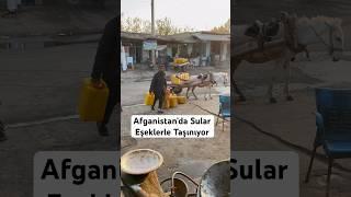 Afganistan’da bazı köy ve kasabalarda hatta şehir merkezlerinde dükkanların çoğunda su yok 