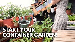 How To Start A Balcony Container Garden Balconia Garden