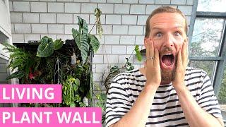 My DIY Living Wall  - Fully Automated and Plants Love It