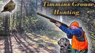 October Grouse Hunting in Timmins Ontario